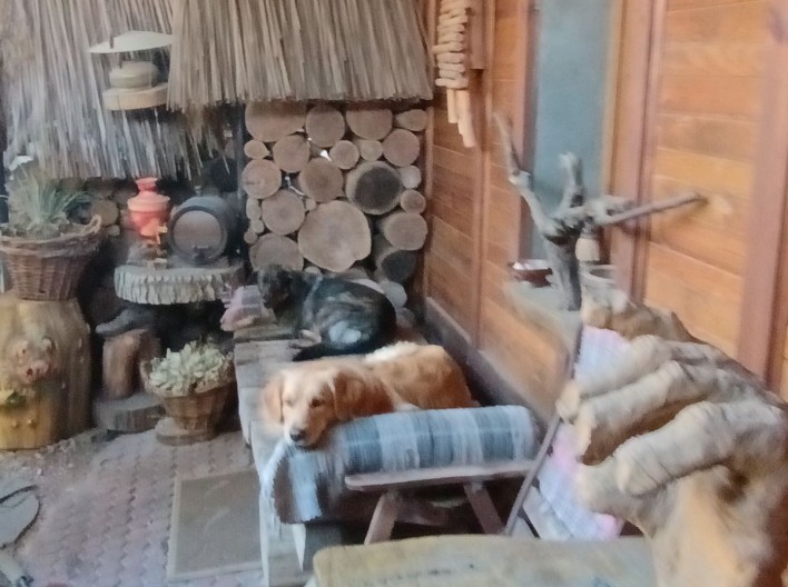 Баня «Украинские лазни в Днепре на дровах»